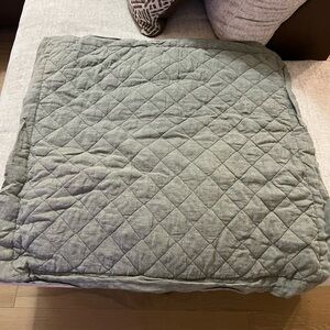 Pottery Barn Green Quilted Euro Shams